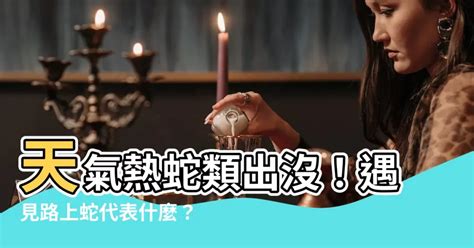 路上看到蛇代表什麼|【在路上看到蛇代表什麼】夜路驚魂！在路上看到蛇代表什麼？